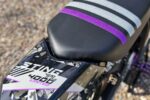 Talaria Sting 4000 Limited (Off-Road) — Talaria